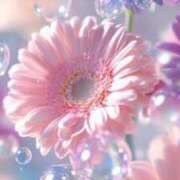 ヒメ日記 2025/07/10 19:52 投稿 りん CELEB FACE FUKUOKA