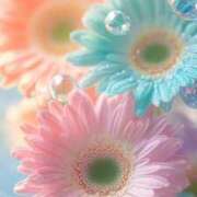 ヒメ日記 2025/08/10 15:09 投稿 りん CELEB FACE FUKUOKA