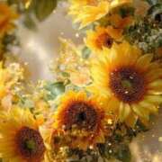 ヒメ日記 2025/08/11 15:29 投稿 りん CELEB FACE FUKUOKA