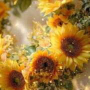 ヒメ日記 2025/09/06 00:59 投稿 りん CELEB FACE FUKUOKA