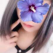 ヒメ日記 2025/06/19 15:09 投稿 ひとみ CELEB FACE FUKUOKA