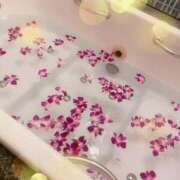 ヒメ日記 2025/07/10 15:09 投稿 ひとみ CELEB FACE FUKUOKA