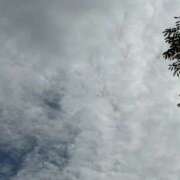 ヒメ日記 2025/09/27 23:55 投稿 はるひ CELEB FACE FUKUOKA