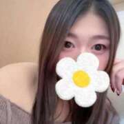 ヒメ日記 2026/01/29 12:59 投稿 はるひ CELEB FACE FUKUOKA