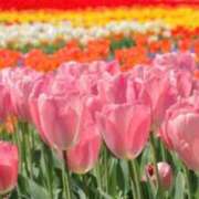 ヒメ日記 2025/11/08 01:59 投稿 るいな CELEB FACE FUKUOKA