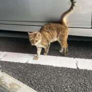 ヒメ日記 2025/06/08 19:19 投稿 りつ CELEB FACE FUKUOKA