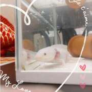 ヒメ日記 2025/07/20 08:49 投稿 あん CELEB FACE FUKUOKA