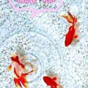 ヒメ日記 2025/08/09 15:59 投稿 あん CELEB FACE FUKUOKA