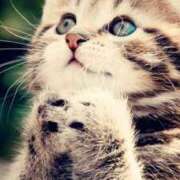 ヒメ日記 2025/10/05 14:53 投稿 あん CELEB FACE FUKUOKA