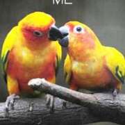 ヒメ日記 2025/11/04 22:29 投稿 あん CELEB FACE FUKUOKA