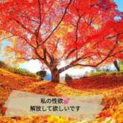 ヒメ日記 2025/11/19 20:09 投稿 あん CELEB FACE FUKUOKA