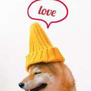 あん 出勤🌹 CELEB FACE FUKUOKA