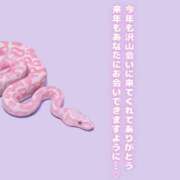 ヒメ日記 2025/12/30 09:09 投稿 あん CELEB FACE FUKUOKA