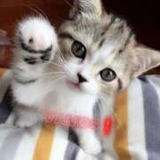 ヒメ日記 2026/01/27 21:45 投稿 あん CELEB FACE FUKUOKA