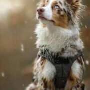 ヒメ日記 2026/01/30 12:49 投稿 あん CELEB FACE FUKUOKA