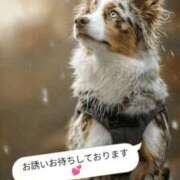 ヒメ日記 2026/02/07 18:51 投稿 あん CELEB FACE FUKUOKA