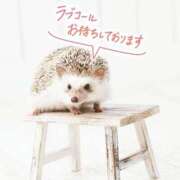 ヒメ日記 2026/02/21 05:59 投稿 あん CELEB FACE FUKUOKA