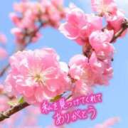 ヒメ日記 2026/03/01 01:59 投稿 あん CELEB FACE FUKUOKA