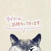 ヒメ日記 2026/03/01 13:39 投稿 あん CELEB FACE FUKUOKA