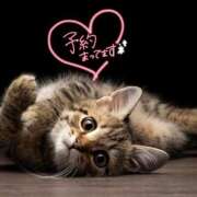 ヒメ日記 2026/03/07 08:22 投稿 あん CELEB FACE FUKUOKA