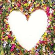 ヒメ日記 2026/03/21 14:49 投稿 あん CELEB FACE FUKUOKA