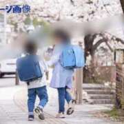 ヒメ日記 2026/04/09 14:59 投稿 あん CELEB FACE FUKUOKA