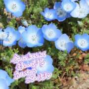 ヒメ日記 2026/04/09 22:49 投稿 あん CELEB FACE FUKUOKA