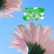 ヒメ日記 2026/04/10 23:59 投稿 あん CELEB FACE FUKUOKA