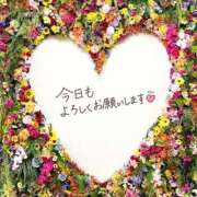 ヒメ日記 2026/04/20 16:49 投稿 あん CELEB FACE FUKUOKA