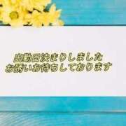 ヒメ日記 2026/08/19 07:29 投稿 あん CELEB FACE FUKUOKA