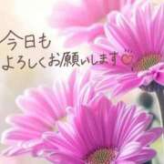 あん 出勤🌹 CELEB FACE FUKUOKA