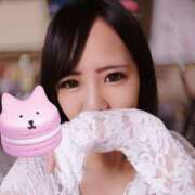 ヒメ日記 2025/04/04 20:29 投稿 しほ CELEB FACE FUKUOKA