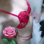 ヒメ日記 2025/04/20 10:12 投稿 しほ CELEB FACE FUKUOKA