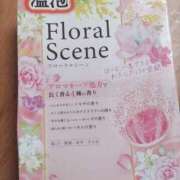 ヒメ日記 2025/04/20 21:09 投稿 しほ CELEB FACE FUKUOKA