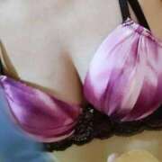 ヒメ日記 2025/05/18 08:57 投稿 しほ CELEB FACE FUKUOKA