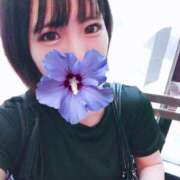 ヒメ日記 2025/06/19 18:09 投稿 しほ CELEB FACE FUKUOKA