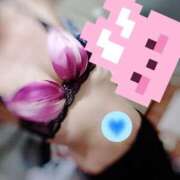 ヒメ日記 2025/07/30 07:20 投稿 しほ CELEB FACE FUKUOKA