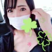 ヒメ日記 2025/08/17 14:29 投稿 しほ CELEB FACE FUKUOKA