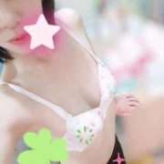 ヒメ日記 2025/08/28 08:19 投稿 しほ CELEB FACE FUKUOKA