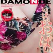 ヒメ日記 2025/08/30 11:29 投稿 しほ CELEB FACE FUKUOKA