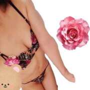 ヒメ日記 2025/09/19 12:29 投稿 しほ CELEB FACE FUKUOKA