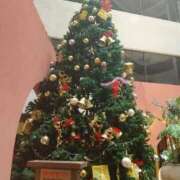 ヒメ日記 2025/11/20 14:09 投稿 しほ CELEB FACE FUKUOKA