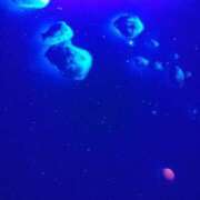 ヒメ日記 2026/01/26 16:19 投稿 しほ CELEB FACE FUKUOKA