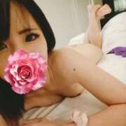 ヒメ日記 2026/03/19 09:29 投稿 しほ CELEB FACE FUKUOKA