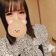 ヒメ日記 2026/04/11 09:59 投稿 しほ CELEB FACE FUKUOKA