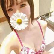 ヒメ日記 2026/05/20 19:29 投稿 しほ CELEB FACE FUKUOKA