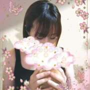 ヒメ日記 2025/04/20 05:39 投稿 こゆき CELEB FACE FUKUOKA