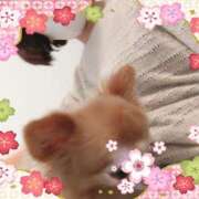 ヒメ日記 2025/05/03 05:19 投稿 こゆき CELEB FACE FUKUOKA