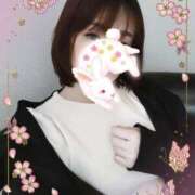 ヒメ日記 2026/04/12 04:09 投稿 こゆき CELEB FACE FUKUOKA