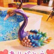 ヒメ日記 2025/04/17 23:09 投稿 りこ CELEB FACE FUKUOKA